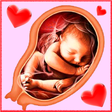 程序图标：Pregnancy Week by week