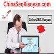 China Seo Xiaoyan - 100 Free Seo Tools