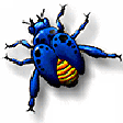 Symbol des Programms: OEBackup