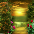 Icono de programa: HD Wallpapers Backgrounds