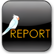 Icon of program: ReportIt