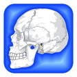 プログラムのアイコン：Human Body Facts 1000 Fun…
