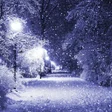 Ikon program: Snow Wallpapers