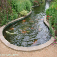 رمز البرنامج: Fish Pond