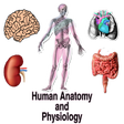 Icon of program: Human Anatomy and Physiol…