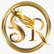 程序图标：SR TUNNEL