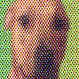 Icon of program: Party Dawg 95