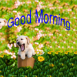 Icon of program: Good Morning Weekly Greet…