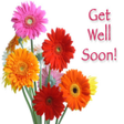 ไอคอนของโปรแกรม: Get Well Soon Wishes: Gre…