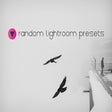 Lightroom Preset Generator