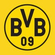 ไอคอนของโปรแกรม: BVB