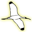 Icono de programa: Bird Sounds