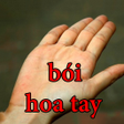 程序图标：XEM BÓI HOA TAY