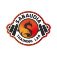 Sabaudia strengthconditioning icon