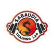 Icon of program: Sabaudia strengthconditio…