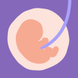Ícone do programa: 24baby.nl  Pregnant  Baby