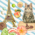 プログラムのアイコン：French Tour Theme HOME