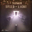 Ikon program: A Slower Speed of Light
