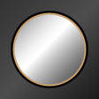 أيقونة البرنامج: Mirror