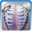 Icon of program: Hairstyles With Braids