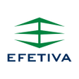 Biểu tượng của chương trình: EFETIVA Segurança