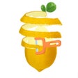 Icon of program: Perfect Peel