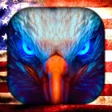Icon of program: Eagle Wallpaper Live HD3D…