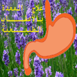 プログラムのアイコン：علاج المعدة بالأعشاب الطب…