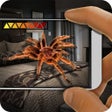 ไอคอนของโปรแกรม: Spider Camera Radar Prank