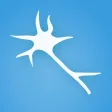 Symbol des Programms: Neuronify