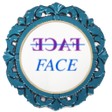 程序图标：True Face Mirror