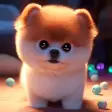 Pomeranian Dog Simulator