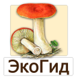 程序图标：EcoGuide: Russian Mushroo…