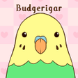 プログラムのアイコン：Budgerigar Theme