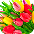 Ícone do programa: Flowers Stickers for What…