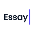 Essay Writer - AI Helper