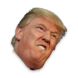 プログラムのアイコン：Flappy Trump