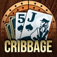 プログラムのアイコン：Cribbage Royale
