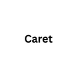 Programikonen: Caret