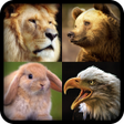 程序图标：National Geographic: Biog…