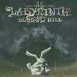 Ícone do programa: The Labyrinth on Burrow H…