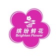 缤纷鲜花 icon