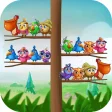 Bird Sort Puzzle - Color Fun