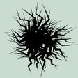 Иконка программы: PolyFauna