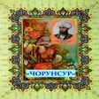 Иконка программы: ЧОРУНСУР-И МИРЗО БЕДИЛ