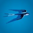 ไอคอนของโปรแกรม: Midland Bluebird