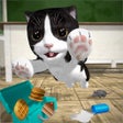 أيقونة البرنامج: Cat Simulator 2022