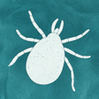 Ikon program: Tick Detector: Pet Tick S…
