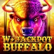 プログラムのアイコン：W Jackpot Buffalo
