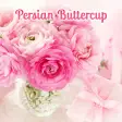 Persian Buttercup Theme
